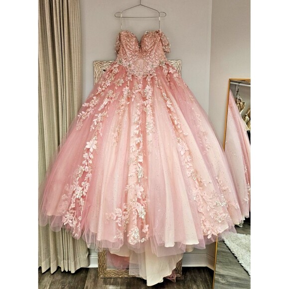 Exquisite Petal Pink Quinceañera Ball Gown - Hand-Embroidered Floral Dress - Picture 1 of 14